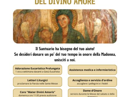 Volontario Santuario Divino Amore
